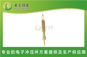 鱼眼pin针