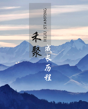 禾聚精密成长历程